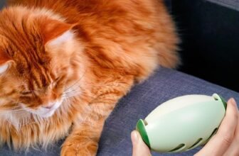 Reusable Lint Roller to the Rescue