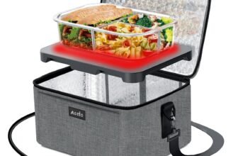 Portable Oven 110V Aotto