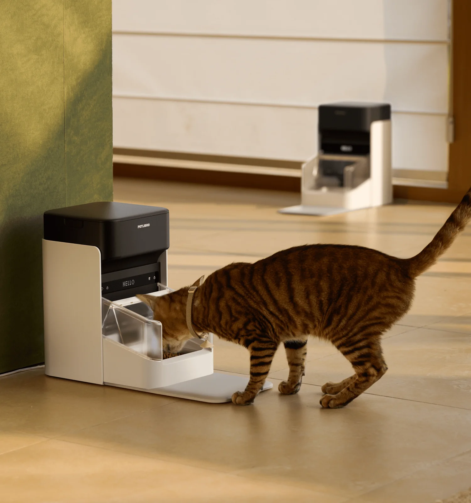 PETLIBRO RFID Automatic Cat Feeder - Smart Feeding Solution For Cats PDP 03 Compressify.io