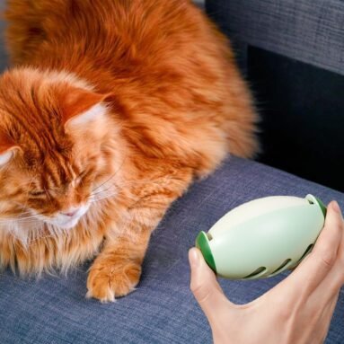 Reusable Lint Roller to the Rescue